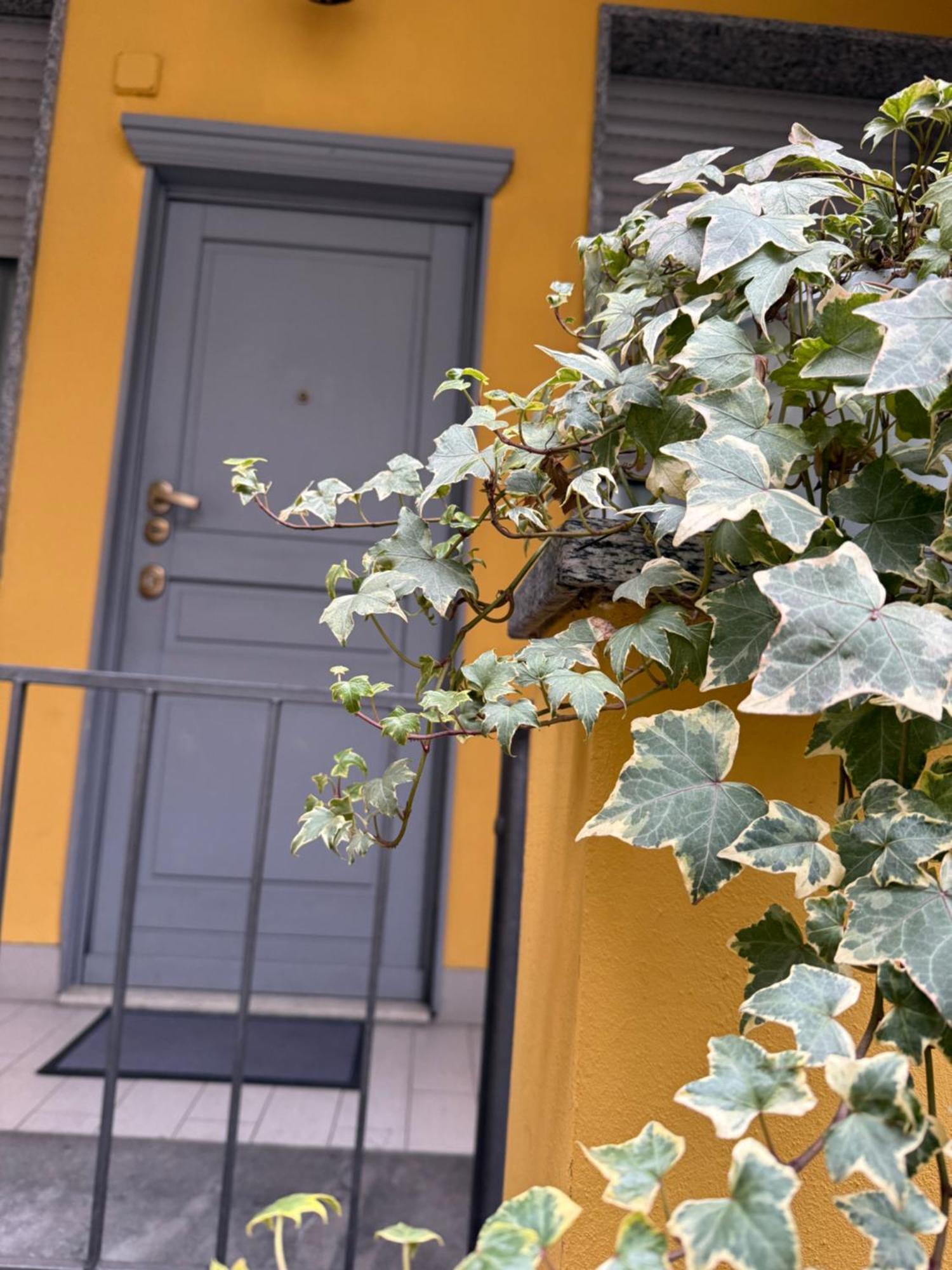 Gionas - Casa Indipendente In Zona Strategica Villa Milano Exterior foto